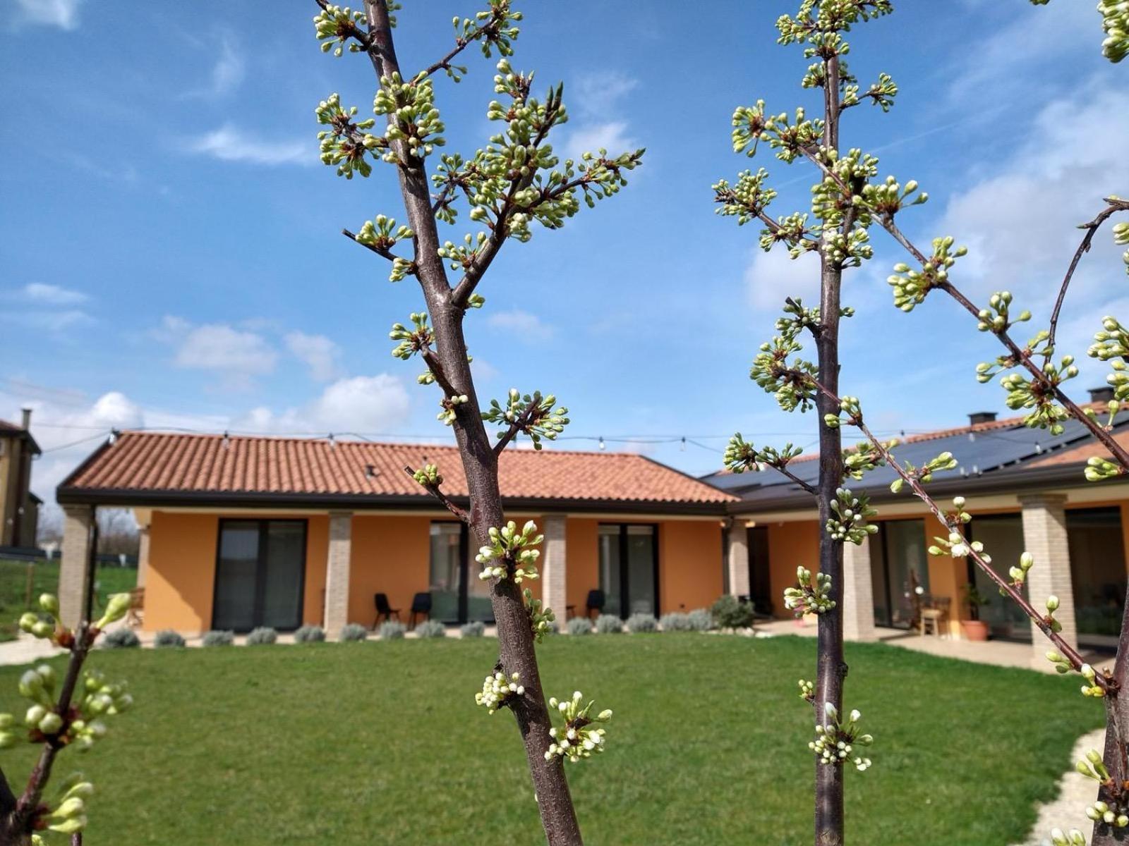 Agriturismo Verdecielo パドヴァ 部屋 写真