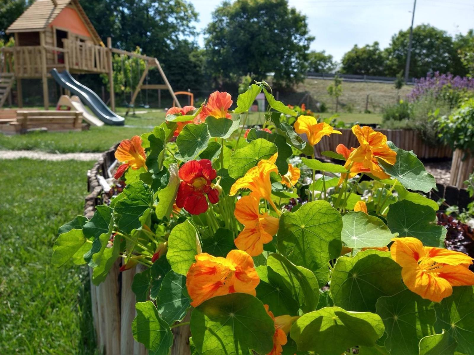 Agriturismo Verdecielo パドヴァ エクステリア 写真
